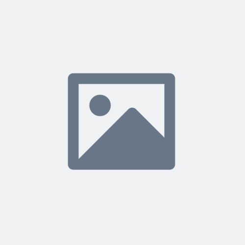 placeholder img